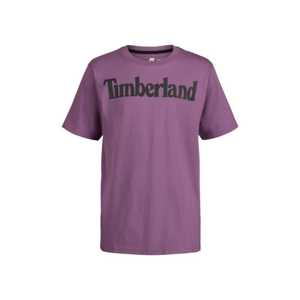 Timberland Big Boys Iconic Short Sleeve T-Shirt